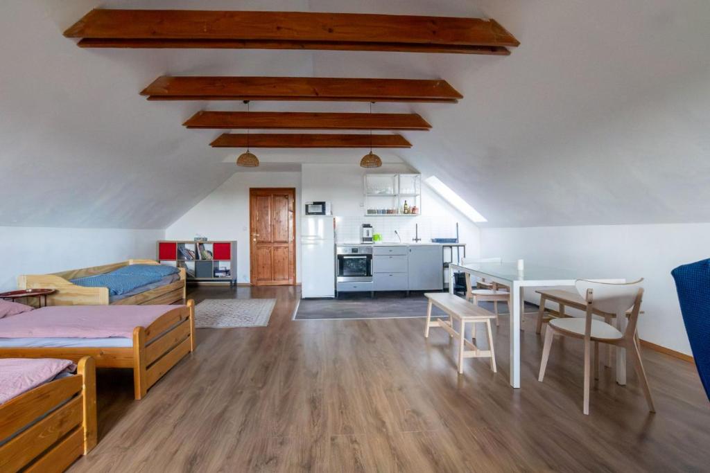 a large room with a kitchen and a living room at Apartmán 7J in Hnanice