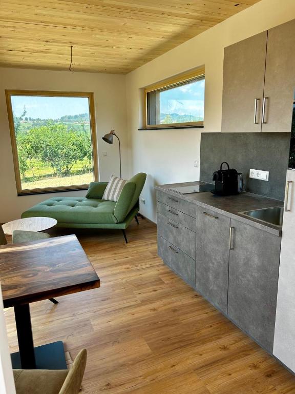a kitchen and living room with a couch and a table at Natururlaub by Klotz TINY HAUS a in Überlingen
