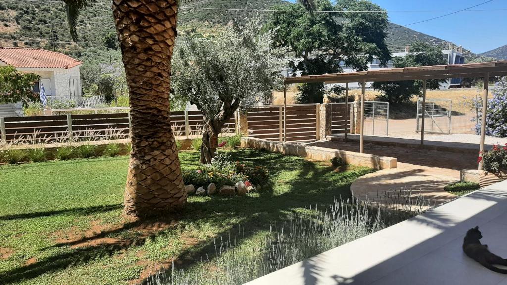 a palm tree in a yard with a fence at ΕΝ ΑΛΩ Residences in Kiveri
