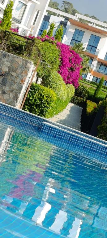 a swimming pool in front of a building with flowers at Idyll Homes THE PENTHOUSE in Avdhelleron
