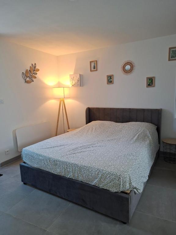 a bedroom with a bed and a lamp in it at Au cocon des promenades in Pesmes
