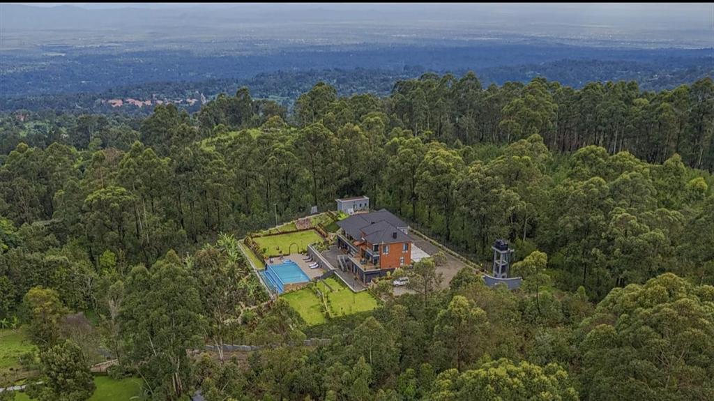 an aerial view of a house in the forest at Sharuu Residency in Msaranga