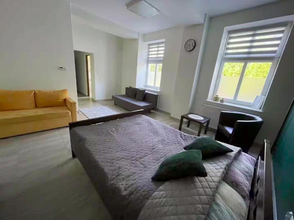 a bedroom with a large bed and a couch at Apartamenty Trzciana in Rzeszów