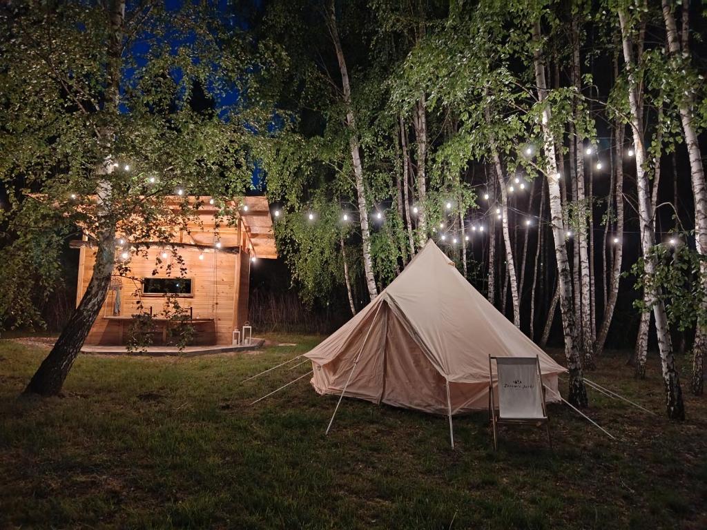 a tent in the grass in front of a cabin at Żeremie Jurki Camp in Jurki