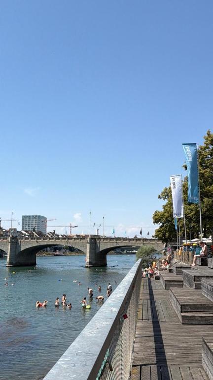 a group of people swimming in the river at Casa Rheinblick - Apartment B in Basel