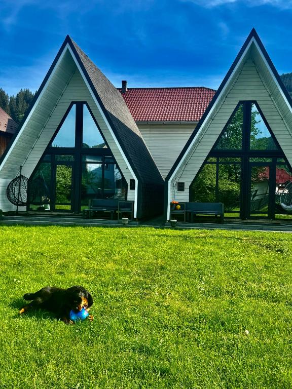 a dog laying in the grass in front of a house at Шале WeLKoMe in Verkhovyna