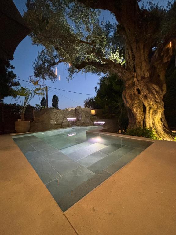 a swimming pool in front of a tree at night at Villa Steana in Makri
