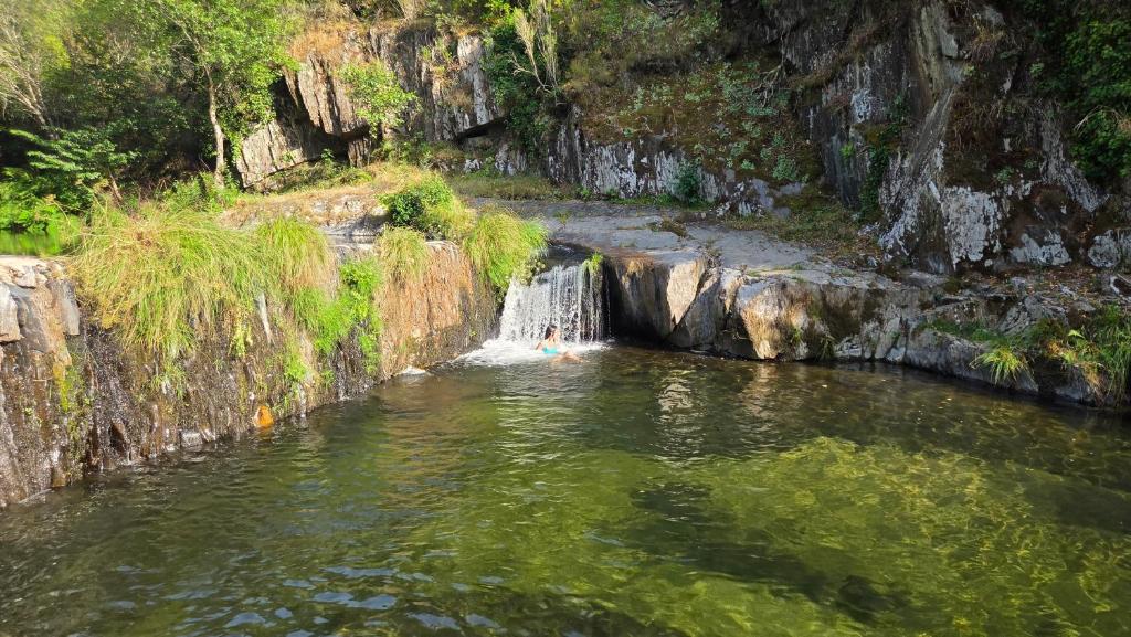 a person swimming in a pond with a waterfall at Casa do Azereiro in Casal do Rei