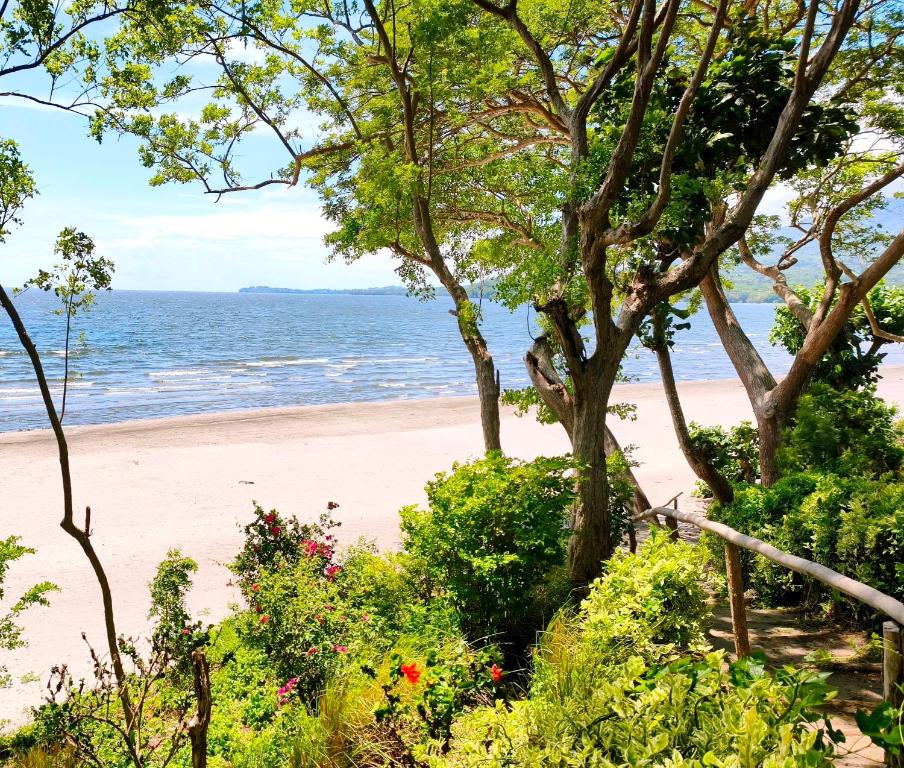 a beach with trees and flowers and the ocean at Xalli Beach Hotel in Altagracia