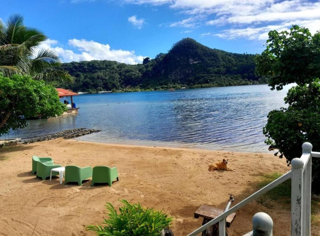 RAIATEA, Opoa, Studio du "Fare Rêvé" plage et bord de mer privatifs - photo 9 - Raiatea, Polynésie