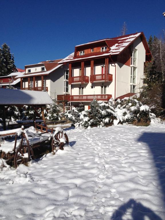 ポイアナ・ブラショフにあるApartament Rolandの雪に覆われた庭のある家