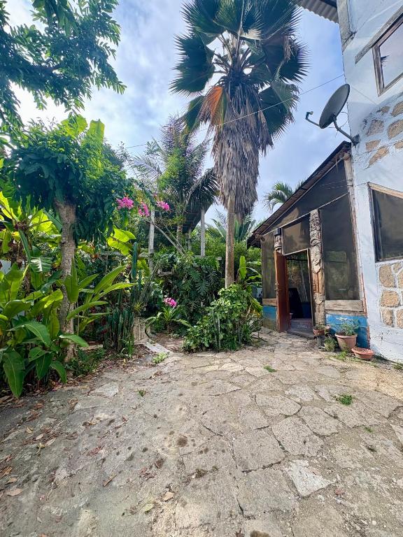 a house with a palm tree next to a building at Intimunay Shala Yoga Center in Las Núñez