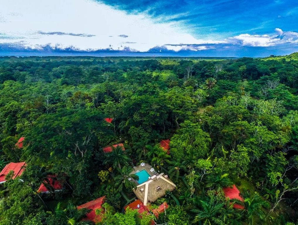 an aerial view of a house in the forest at Hotel La Palapa Eco Lodge Resort in Portalón