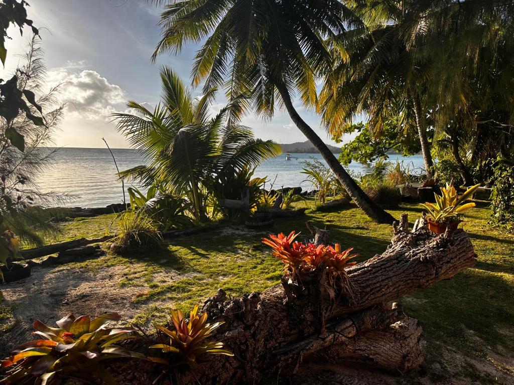 Kukuriaz Fare, Bora Bora - photo 12 - Bora Bora, Polynésie