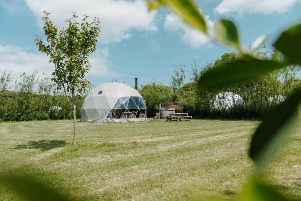a dome tent in the middle of a field at Beavers Retreat - Glamping with Hot Tubs options in Tenby