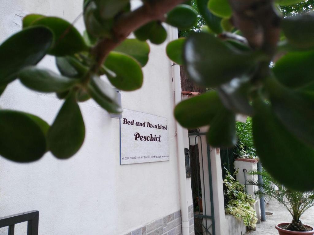 Zahrada ubytování B&B Peschici Rooms