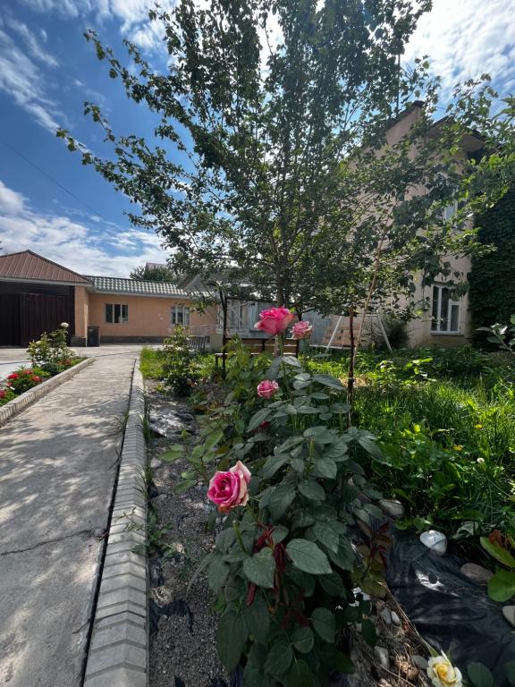 a garden with pink roses in front of a building at Aida in Tebykty