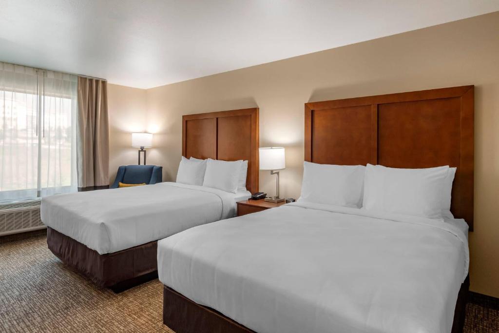 Comfort Inn & Suites Charlottesville Hollymead Town Center photo