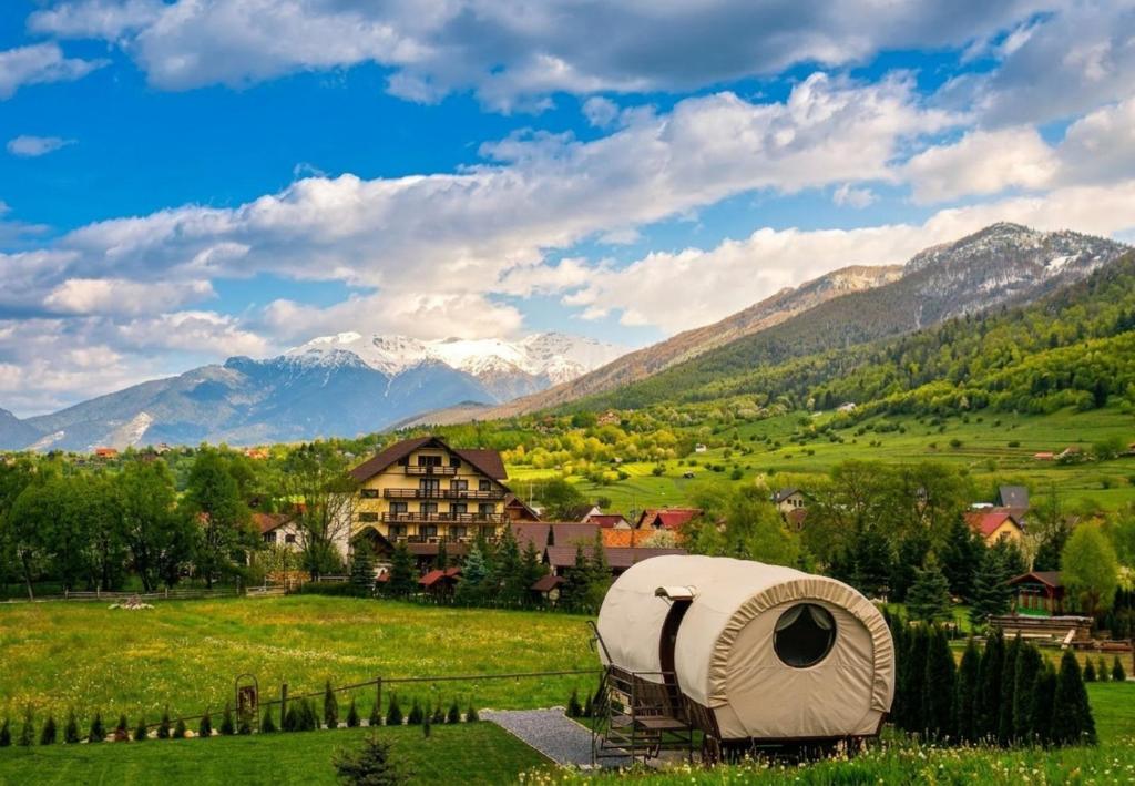a dome tent in a field with mountains in the background at Vila Hora cu Brazi in Zărneşti