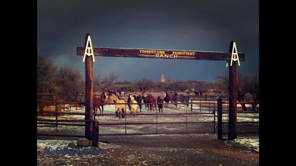 Fotografie z fotogalerie ubytování Tombstone Monument Guest Ranch v destinaci Tombstone