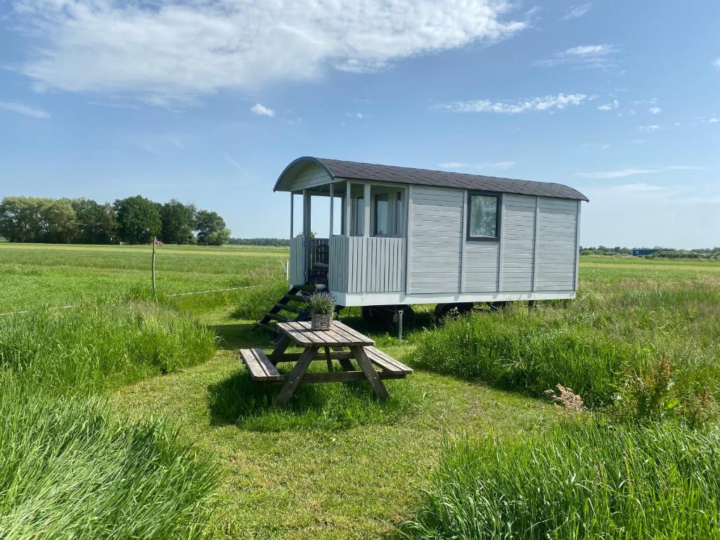 a tiny house in a field with a picnic table at Pipowagen op Camperplaats Vechtdal in Nieuwleusen