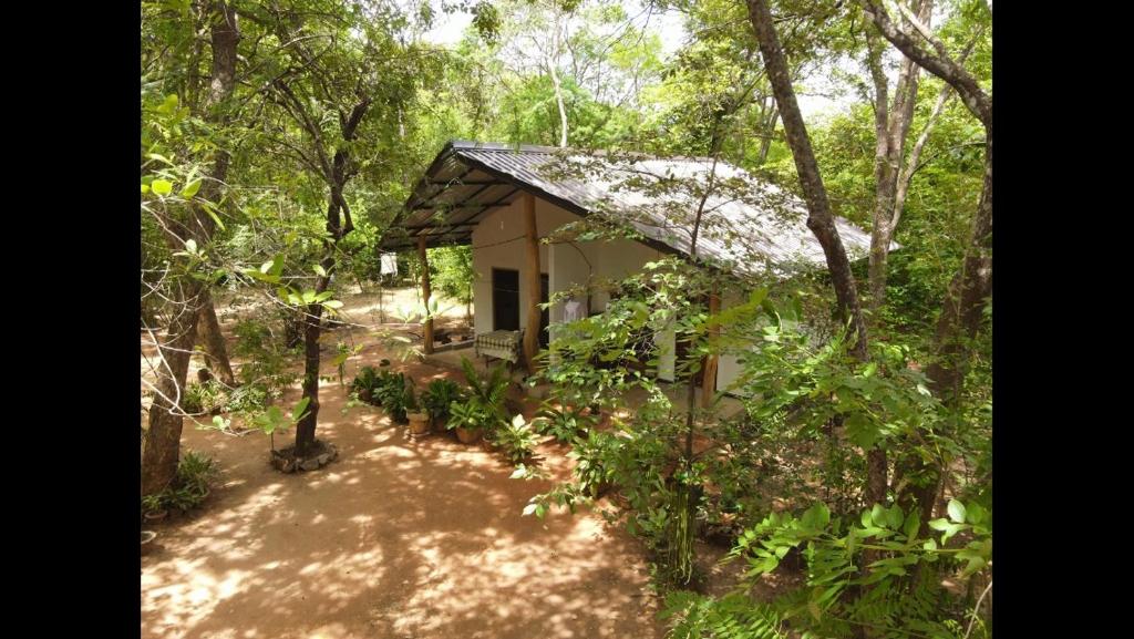 a small house in the middle of a forest at Joy Land Resort in Habarana