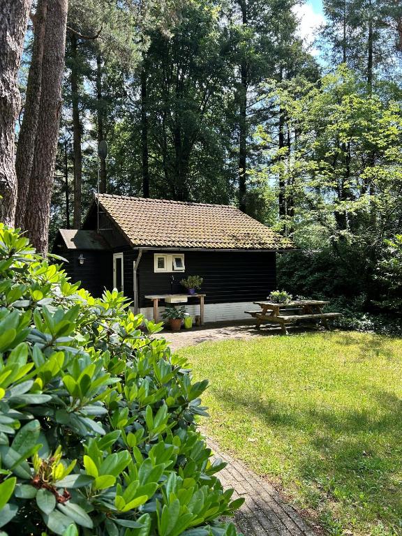 a small cabin in the woods with a picnic table at Kleine huisje op de Veluwe in Otterlo