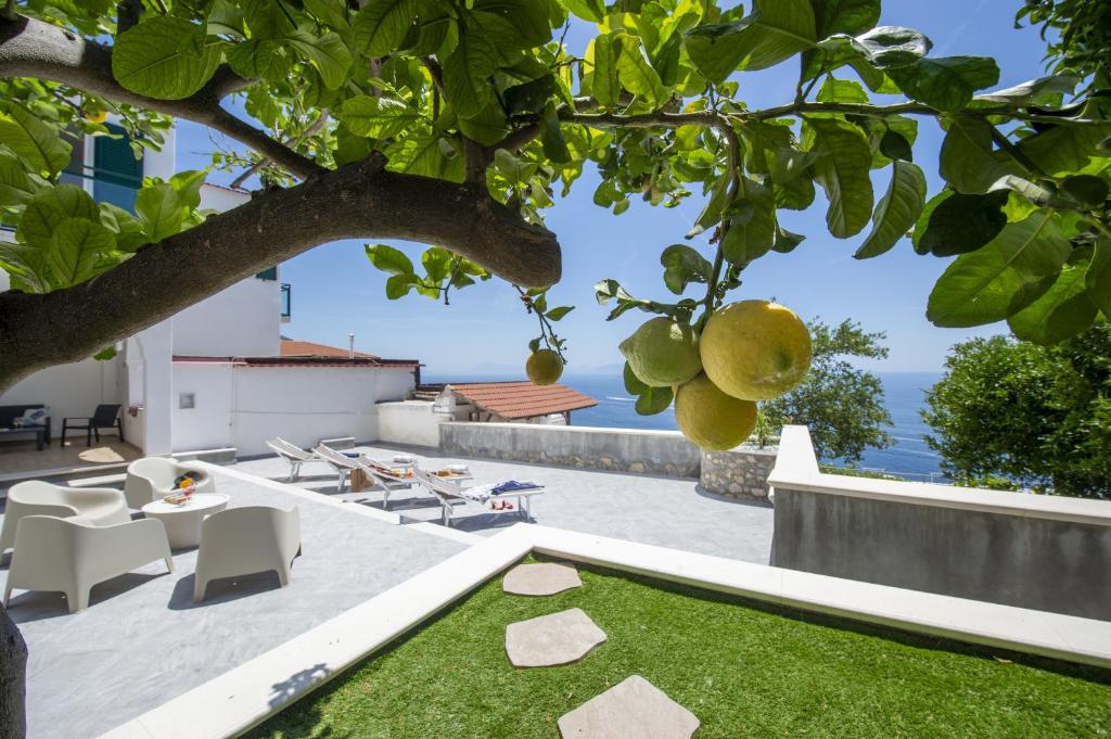 a patio with a tree and chairs and the ocean at Villa CristAl in Praiano