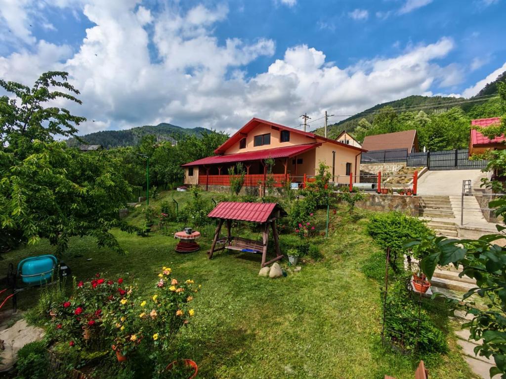 a house with a garden in front of it at Casa Alina in Nehoiu