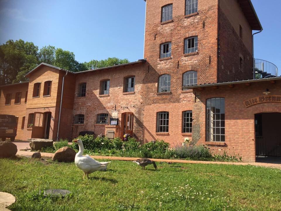 two birds standing in the grass in front of a building at Alte Brennerei in Uckerland