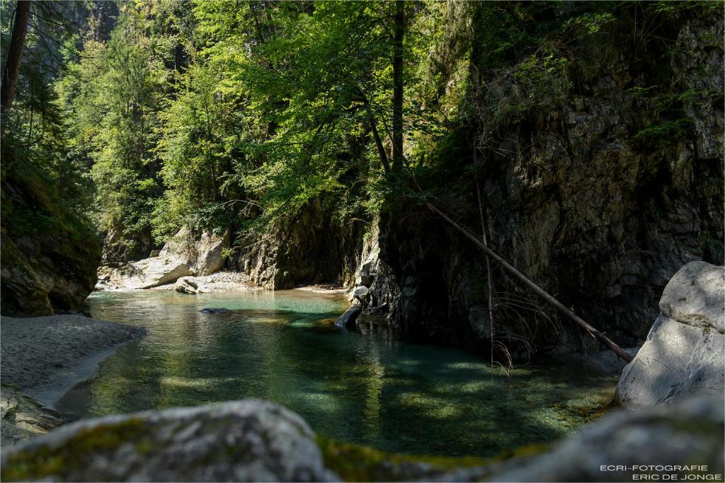 a river with green water in a forest at Appartments Gerlos Am Bach - Riverside in Gerlos