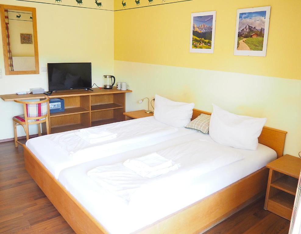 a bedroom with a large bed and a tv at Apartment am Christopherhof in Grafenwiesen