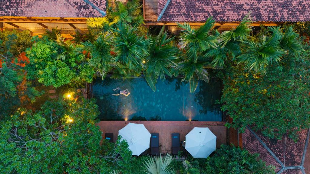 an overhead view of a pool with umbrellas and trees at Isann Lodge in Siem Reap