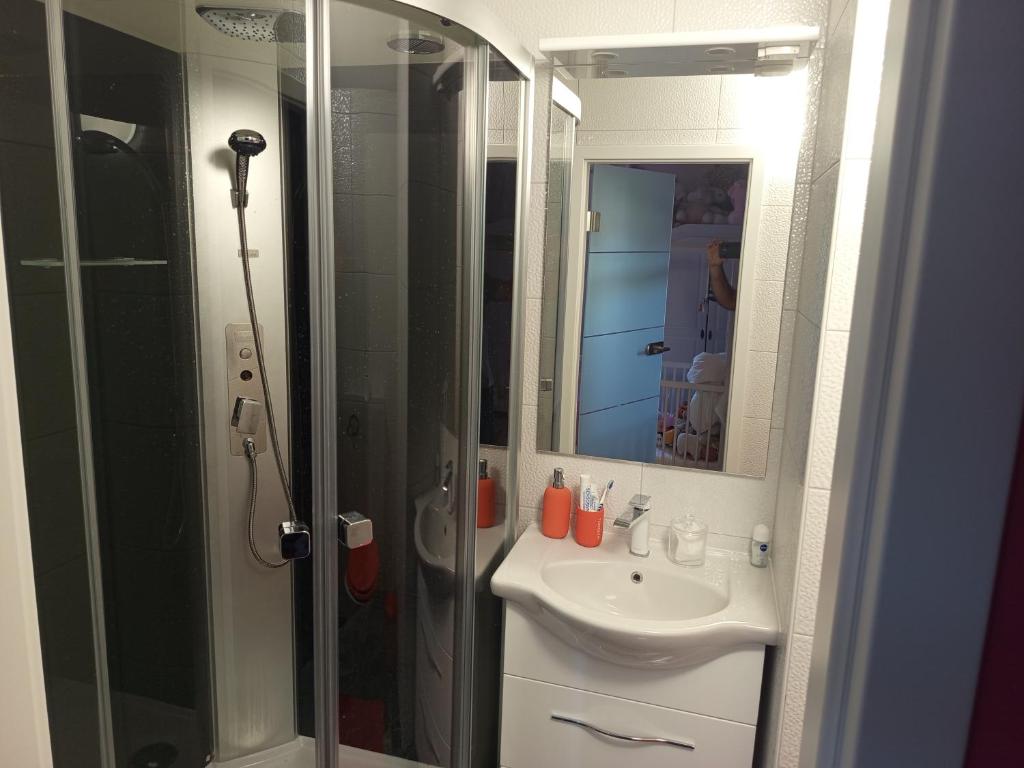 a bathroom with a sink and a shower at Huis bij basel in Hésingue