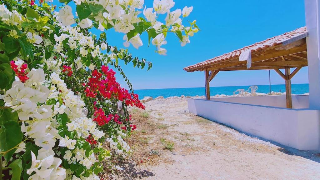 a building on the beach with pink and white flowers at STAY Sea Gem Townhouse in Meneou