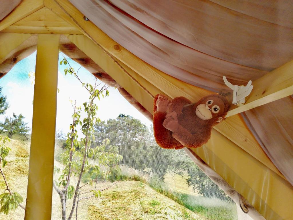 Glamping Casacocco'