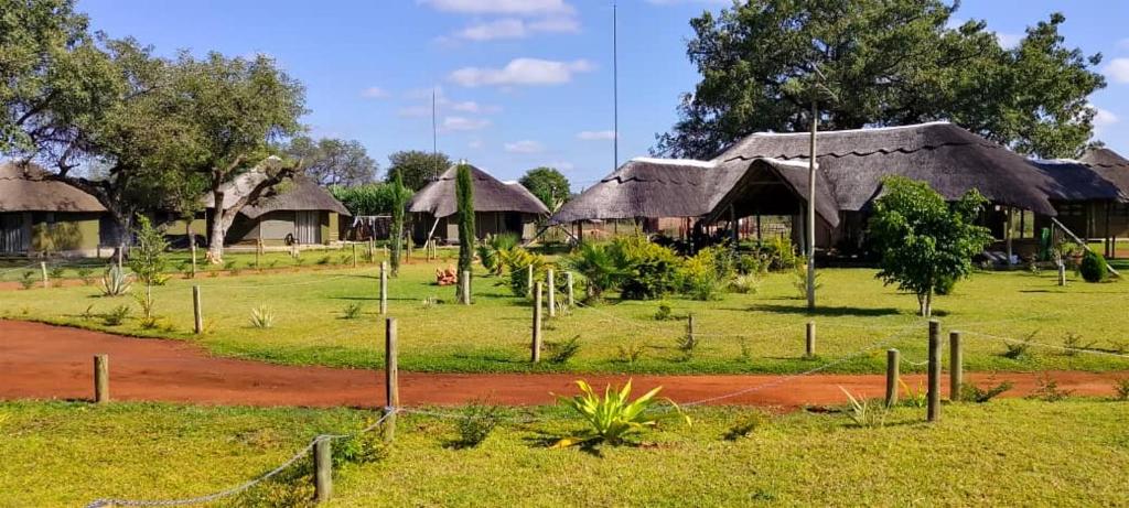 a group of houses with thatched roofs in a field at Tsetsebjwe Lodge in Baines Drift