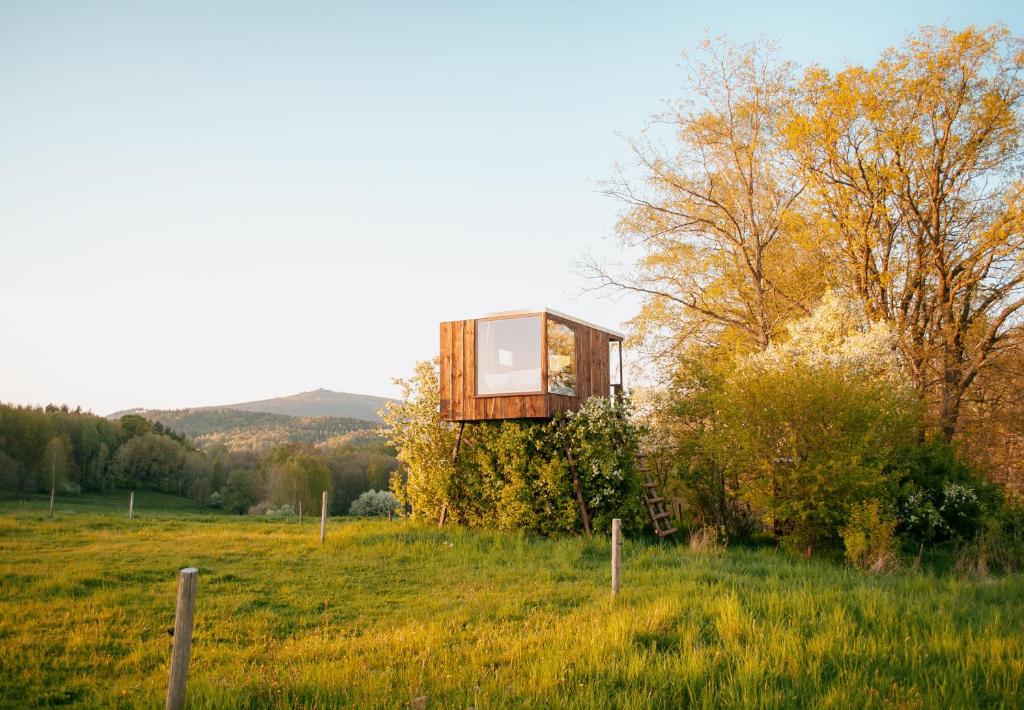 a house sitting on top of a lush green field at Posed Müslivna in Jablonné v Podještědí