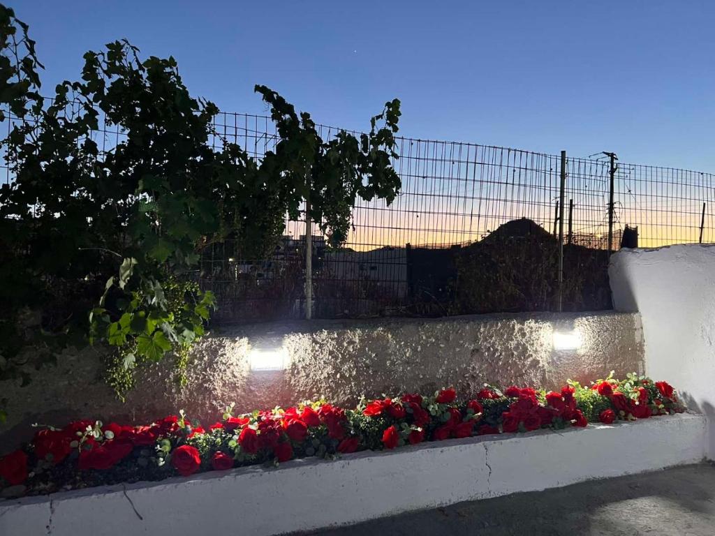 a bunch of flowers on a wall with lights at STYILEL apartment MIlos 2 in Triovasálos