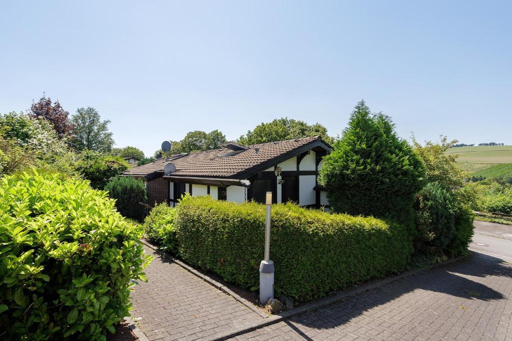 a house with a hedge in front of a house at Ferienhaus Hennesee in Meschede