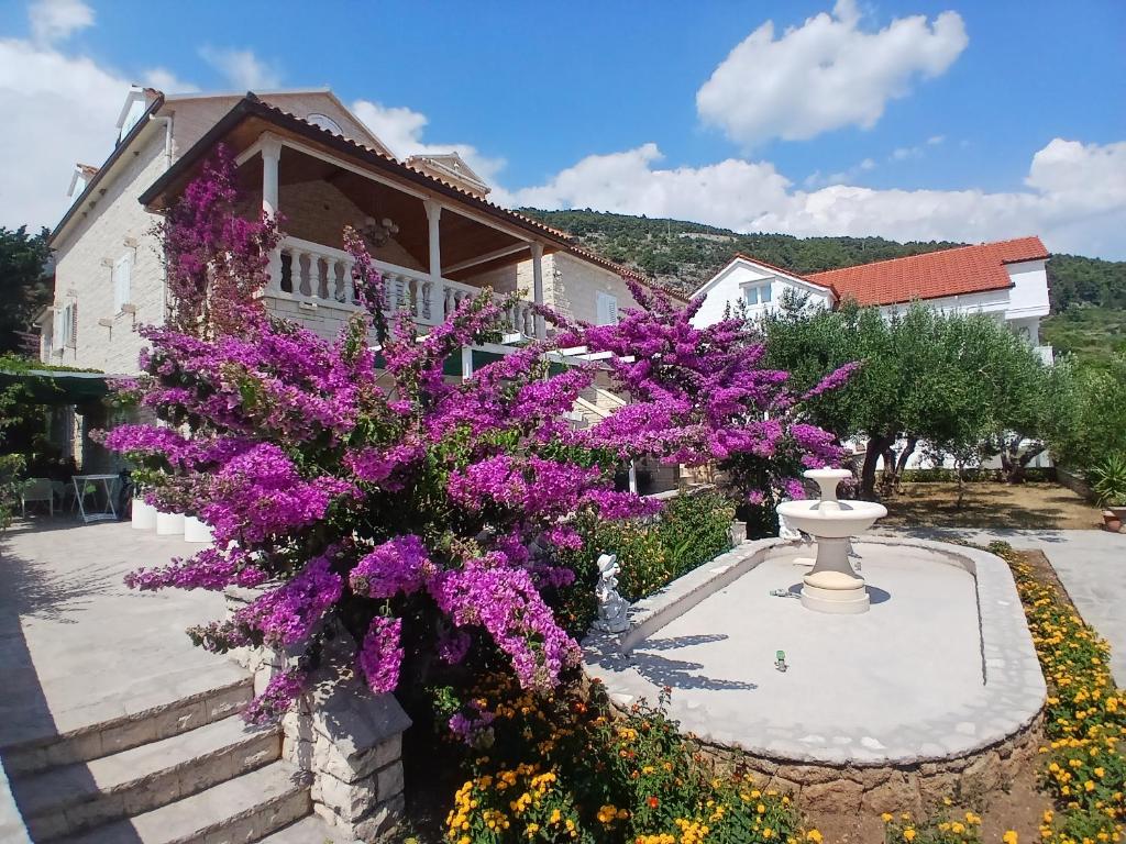 a garden with purple flowers in front of a house at Apartments Mija in Bol