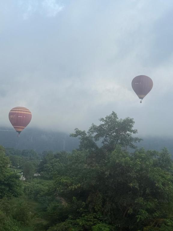 two hot air balloons flying in the sky over trees at The Big Brother Mouse Hostel in Vang Vieng