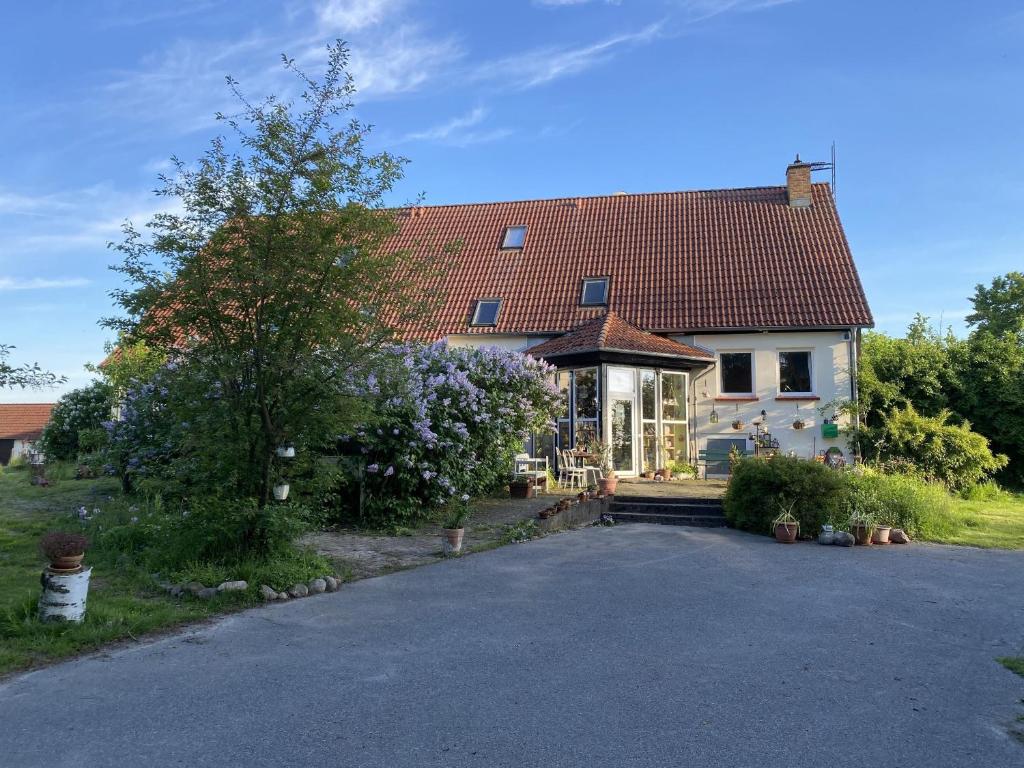 a house with a driveway in front of it at Kulturgutleben in Möllenbeck