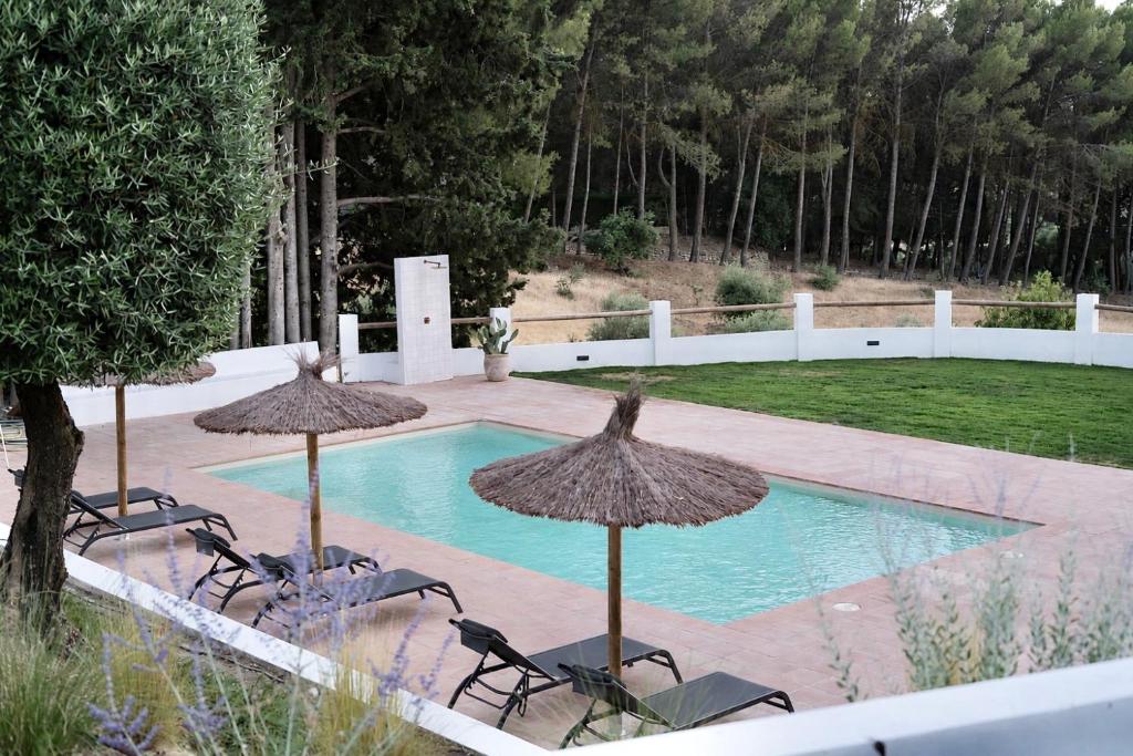 a swimming pool with chairs and umbrellas and a swimming pool at Finca La Oliveta Ronda in Ronda