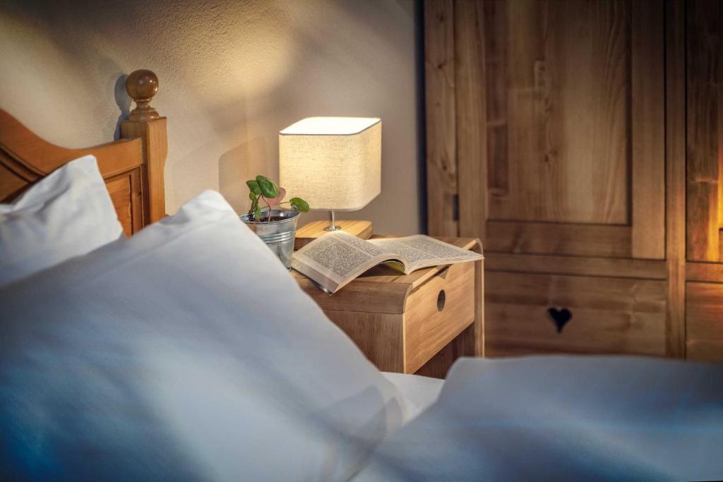 Hotel Bad Salomonsbrunn - Habitación Doble Estándar