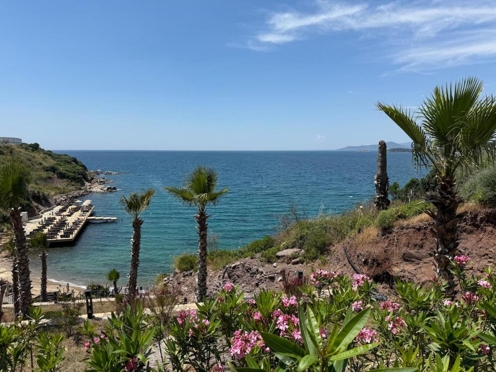 a view of a beach with palm trees and the ocean at Beachfront Villa with private beach and pool in Bogazici