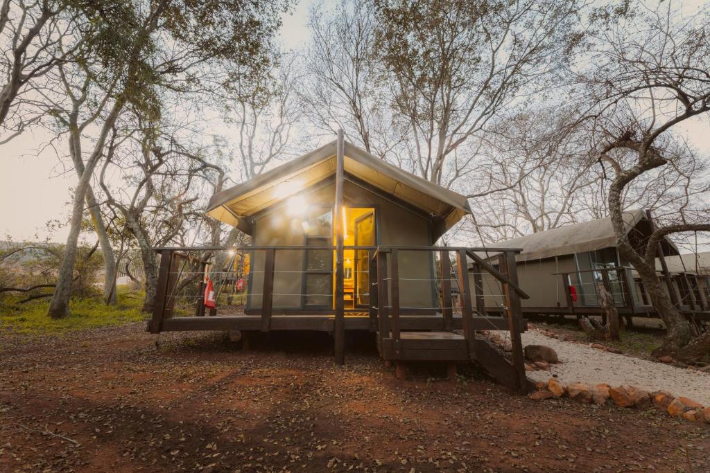 a tiny house in the middle of a forest at The Explorers Camp in Renos