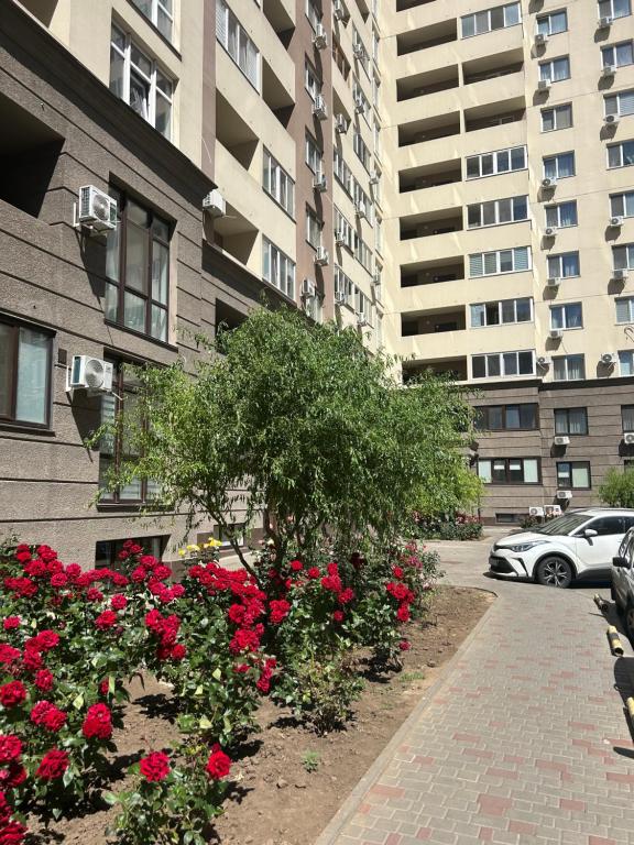 Однокімнатна квартира в Одеських Традиціях фото 6
