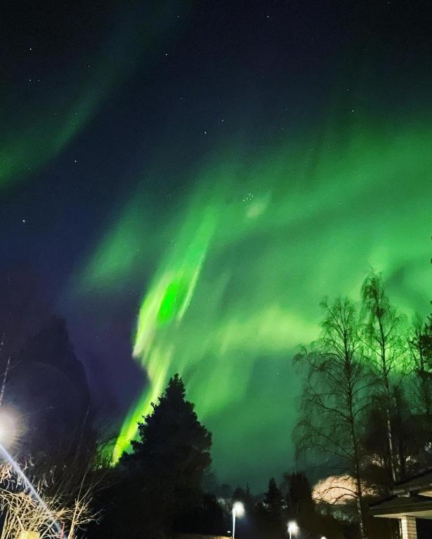 an image of the northern lights in the sky at Villa Aurora in Rovaniemi