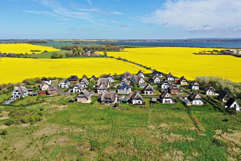 an aerial view of a village with a yellow field at Seeperle in Dranske